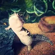 ktajiyの画像
