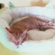 まー
