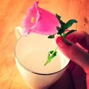 ☆flower☆