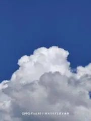 iSugarの画像