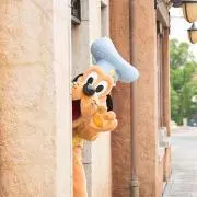 mk☆の画像