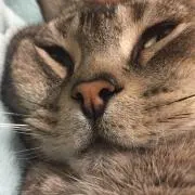 のぁ