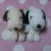 momoの画像