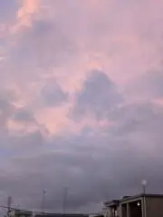 saoriの画像