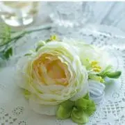 りんご❁