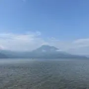 ポテコの画像