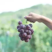 ☺︎の画像