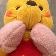 Sの画像