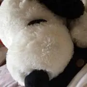 プロフィール必読してくださいの画像