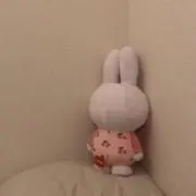 ぱおぞうの画像