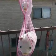 コンボイとカムカムの画像