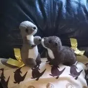 かりまるの画像