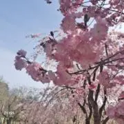 すいの画像