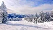 ほのの画像