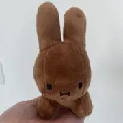 ブラウンSAN☆の画像