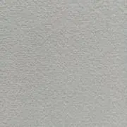 タックンの画像