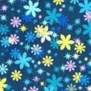 あずきの画像