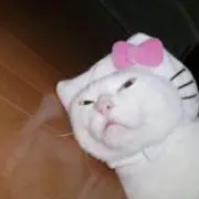 ☆