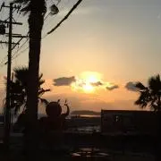 polopoの画像