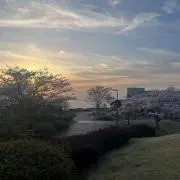 dの画像