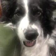 断捨離がんばろうの画像
