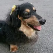 りく☆