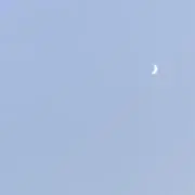 ♩の画像