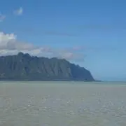 ノビィ(プロフ必読)の画像