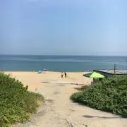 そよちゃんの画像