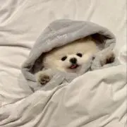 ユヅキの画像