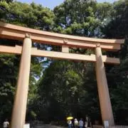 Image of Nホビー　プロフ先読みで