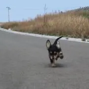 りりの画像