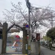 上田