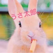 うさ太郎。