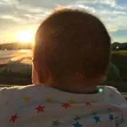 ルルの画像