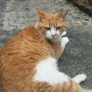 まりちゃん