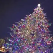 ★の画像