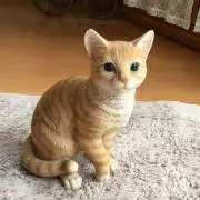 tanukichi 即購入OKの画像