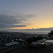 よっちゃんの画像