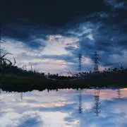 葵