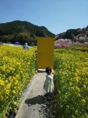 にんにんの画像