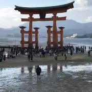 ゆん