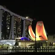 セオリーの画像