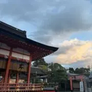 해파리の画像