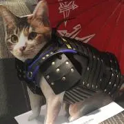 hamyamadaの画像