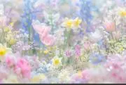 ❁かっちゃん❁の画像