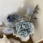 さらの画像