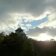 グリーン