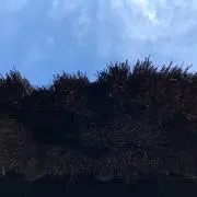 イシカワ