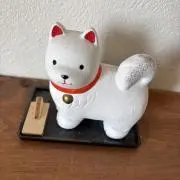 ｜かしわの画像